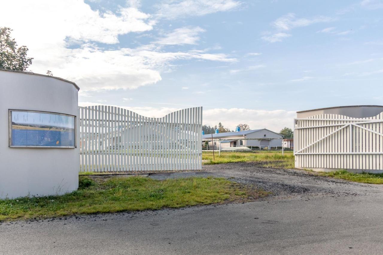 Farma Slunecny Dvur Apartmany A Family Stany Strecha Pod Strechou Hermanuv Mestec Exterior foto