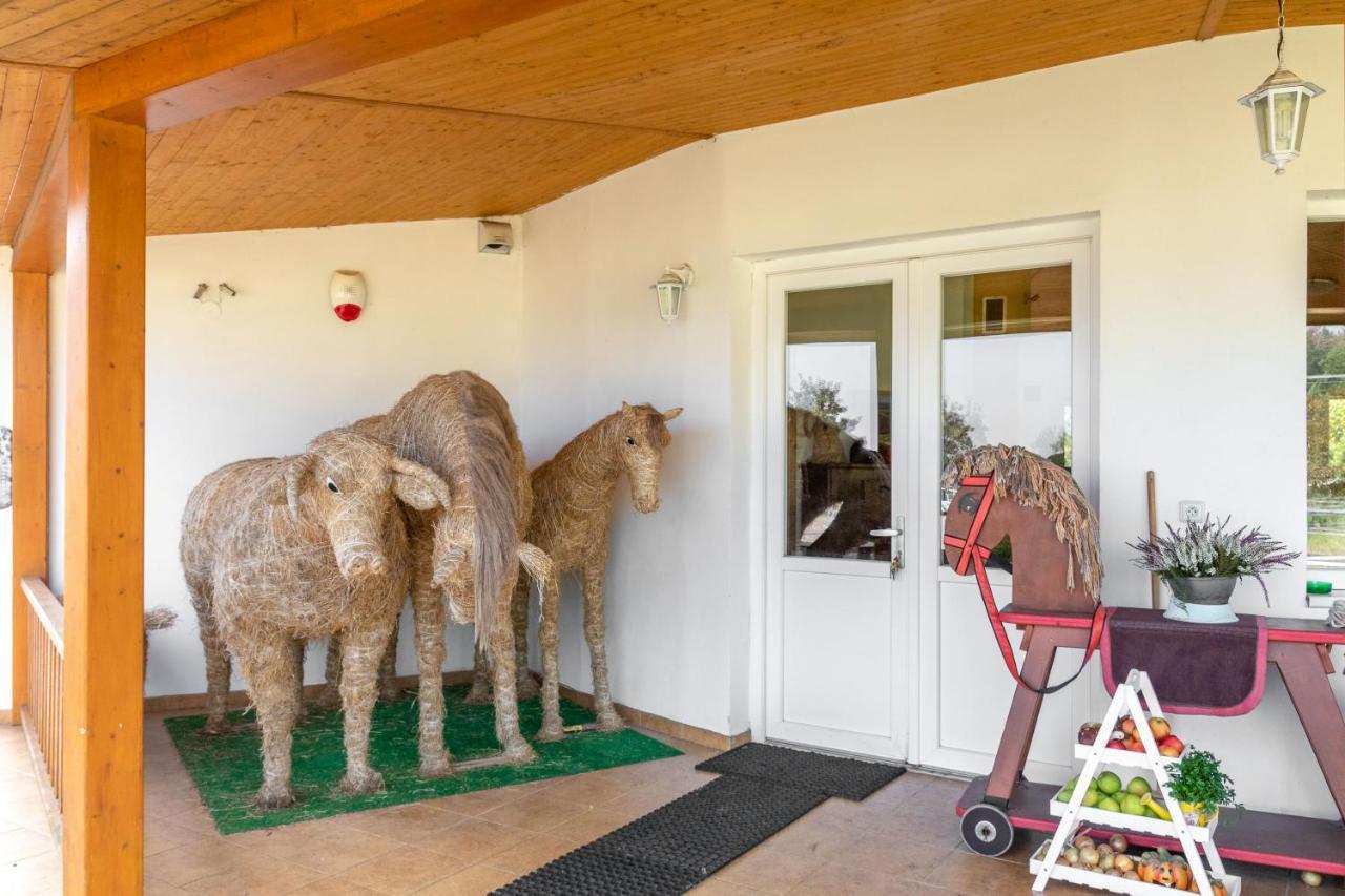 Farma Slunecny Dvur Apartmany A Family Stany Strecha Pod Strechou Hermanuv Mestec Exterior foto